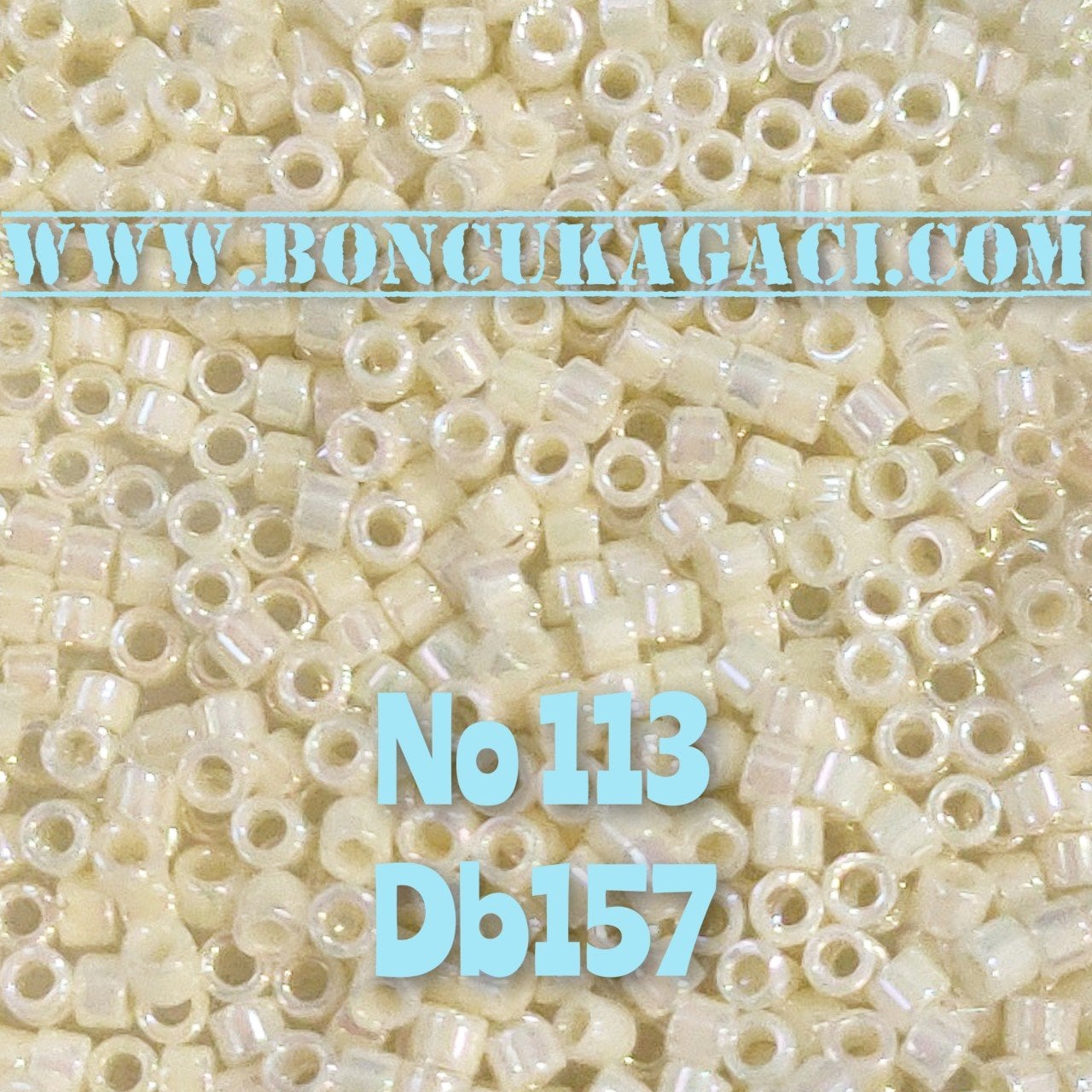 NO:113 Miyuki Delica , Miyuki Boncuk 11/0 DB157  Bej Opak Gökkuşağı