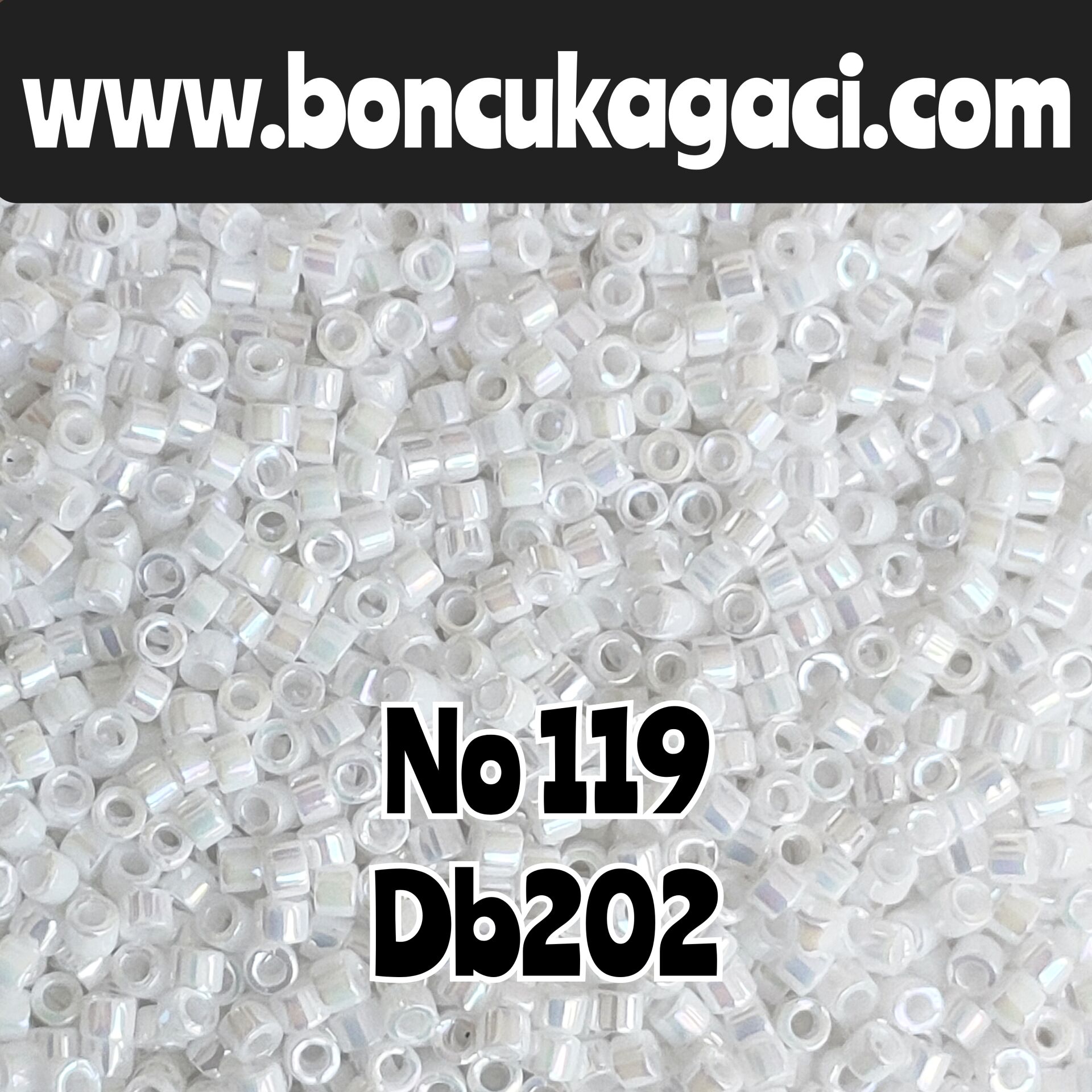 NO:119 Miyuki Delica Boncuk 11/0 DB202 Beyaz Opak Gökkuşağı
