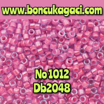 NO:1012 Miyuki Delica Boncuk 11/0 DB2048 İçten Boyalı Tiffany Pembe
