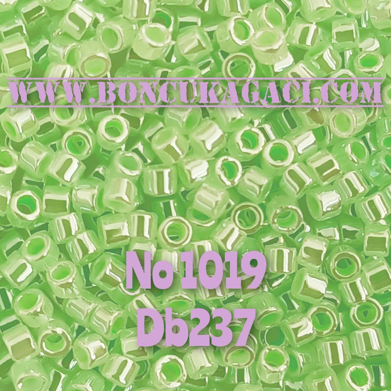 NO:1019 Miyuki Delica , Miyuki Boncuk 11/0 DB237 Parlak Açık Mint Yeşil