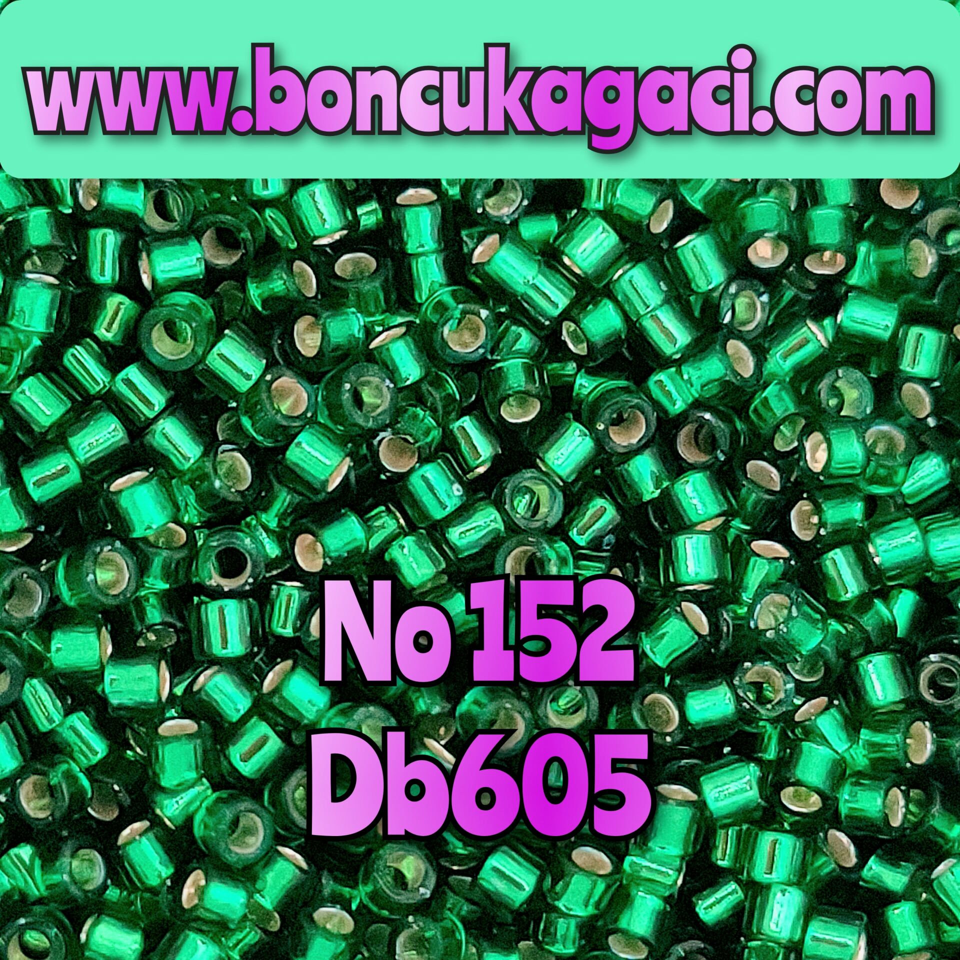 NO:152 Miyuki Delica , Miyuki Boncuk 11/0 DB605