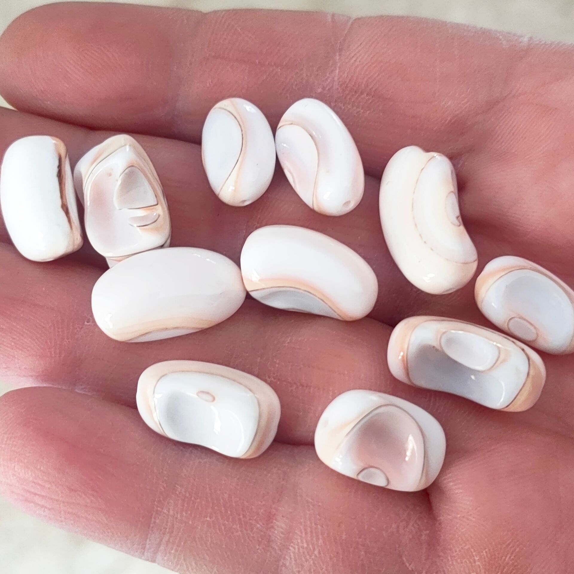 DKB-006 Deniz Kabuğu Fasulye Boncuk