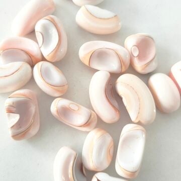 DKB-006 Deniz Kabuğu Fasulye Boncuk