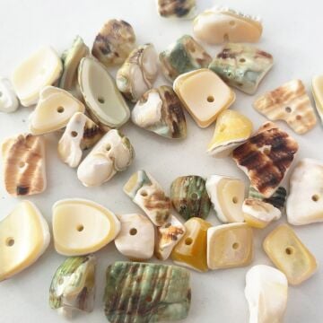 DKB-010 Kırık Deniz Kabuğu Boncuk