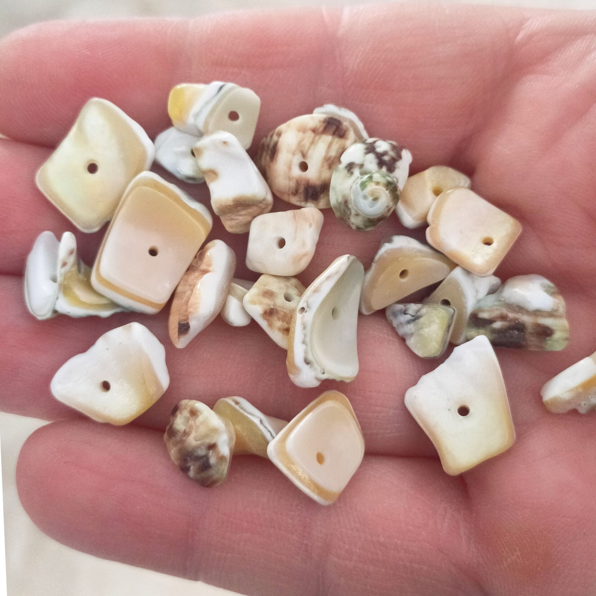 DKB-010 Kırık Deniz Kabuğu Boncuk