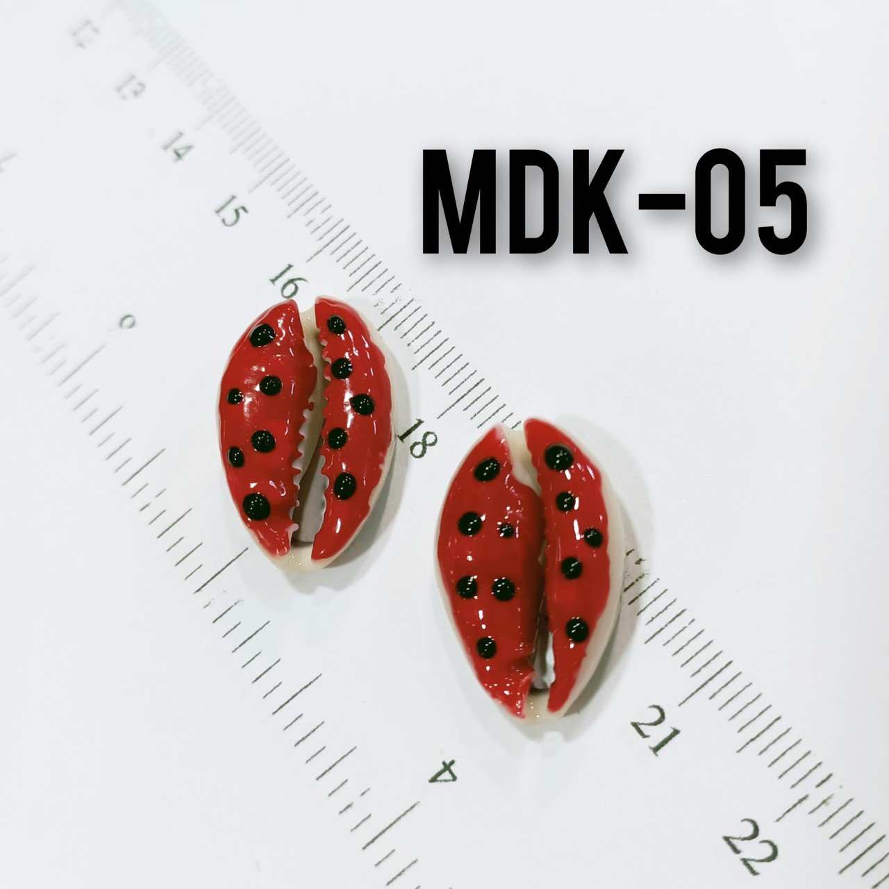 MDK-05 Sİyah Kırmızı Mineli Deve Dişi Midye