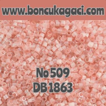 NO:509 Miyuki Delica Boncuk 11/0 DB1863 İpek Saten Boyalı Yanar Döner Koyu Somon Pembe