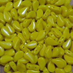 Matubo Paisley 10 gr No:21