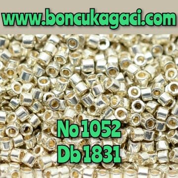 NO:1052 Miyuki Delica Boncuk 11/0 DB1831 Dayanıklı Galvaniz Kaplama